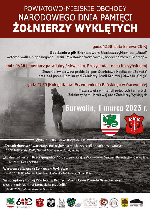 Plakat Narodowy Dzień Pamięci Żołnierzy Wyklętych Copy